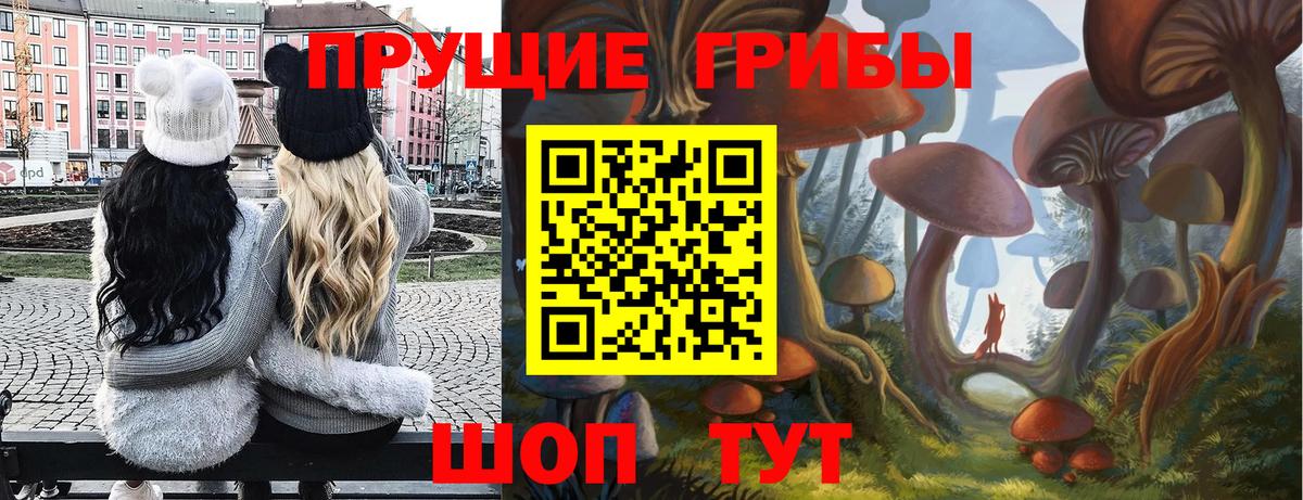 Хасавюрт  Галлюциногенные грибы прущие грибы  Вход с VPN 